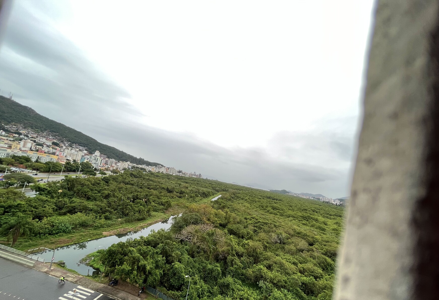 Manguezal do Itacorubi com o bairro da Trindade ao fundo, e céu totalmente encoberto