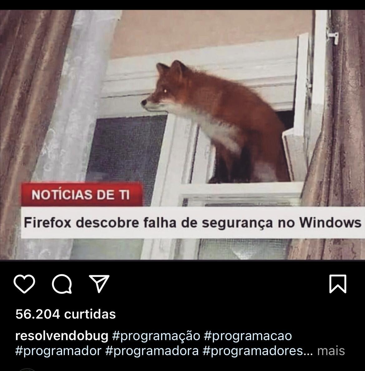 Raposa saindo pela janela aberta, e a legenda: Firefox descobre falha de segurança no Windows.<br><br>* o animal do logo do navegador Firefox não é uma raposa, e sim um panda vermelho