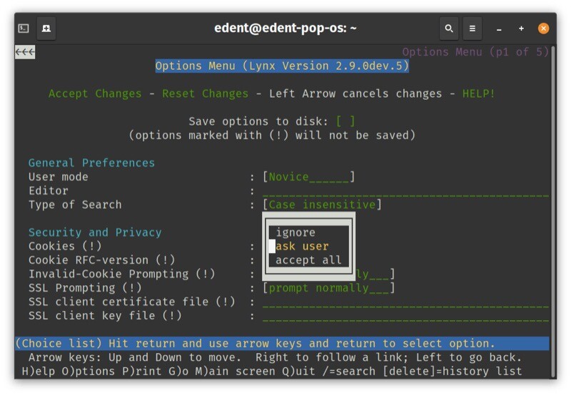 Tela do navegador lynx