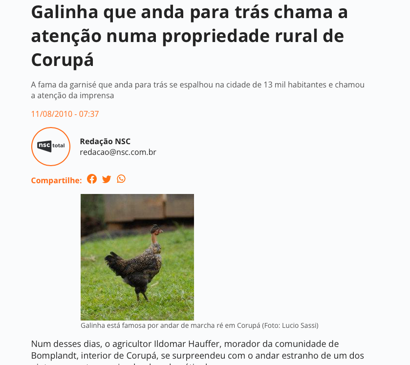 Print do conteúdo do link incluído no texto do post acima.