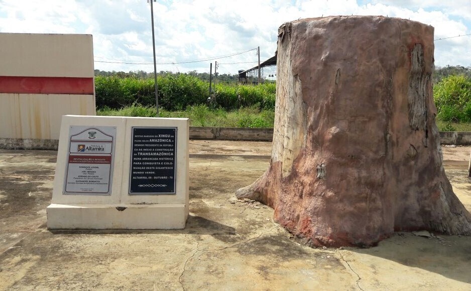 A placa oficial ao lado da castanheira cortada. Nela se lê:<br><br>Nestas margens do Xingu, em plena selva Amazônica, o senhor presidente da Pepública dá início à construção da Transamazônica, numa arrancada histórica para conquista e colonização deste gigantesco mundo verde. Altamira, 9-outubro-70<br>