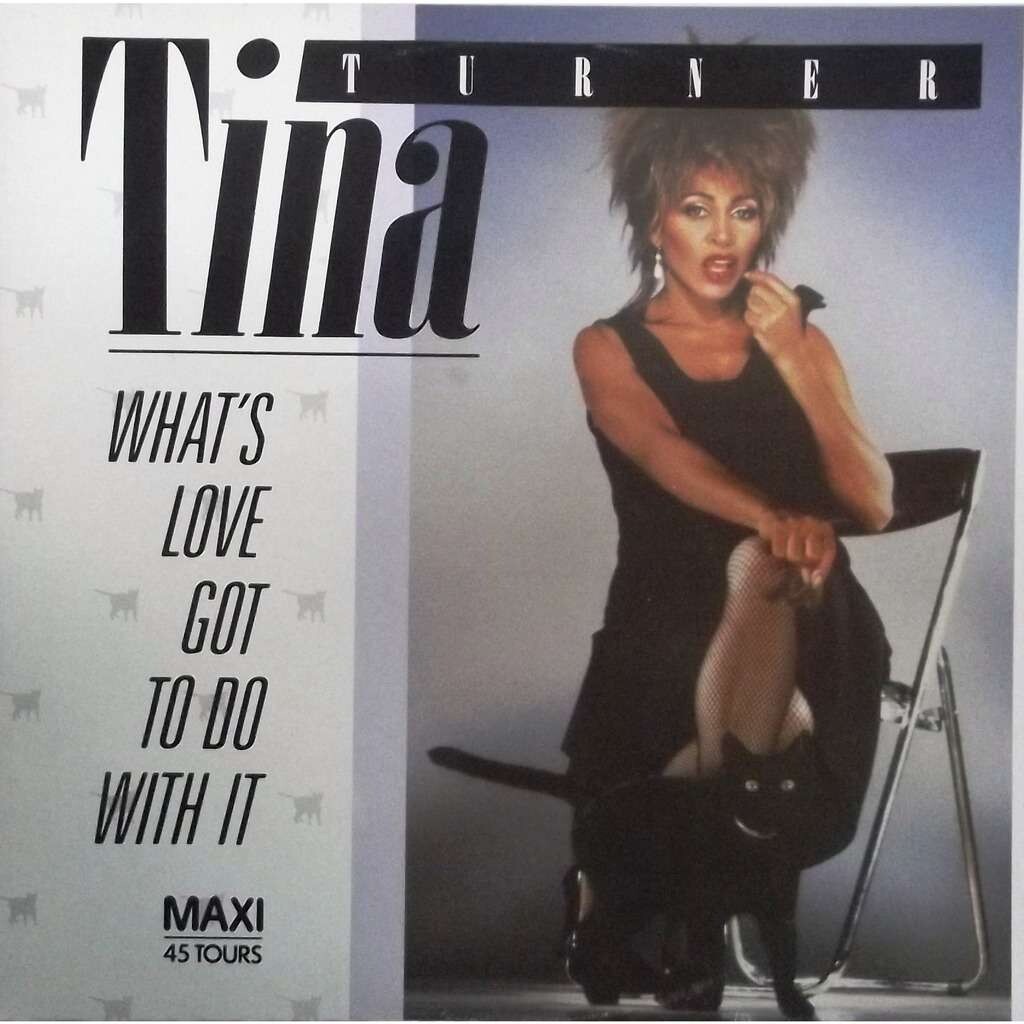 Capa do vídeo de What's love got to do with it