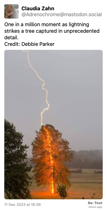 Post de Claudia Zahn. “One in a million moment as lightning strikes a tree captured in unprecedented detail. Credit: Debbie Parker“ The post contains an image with no description. Posted on 11 Dec 2023 at 16:39
