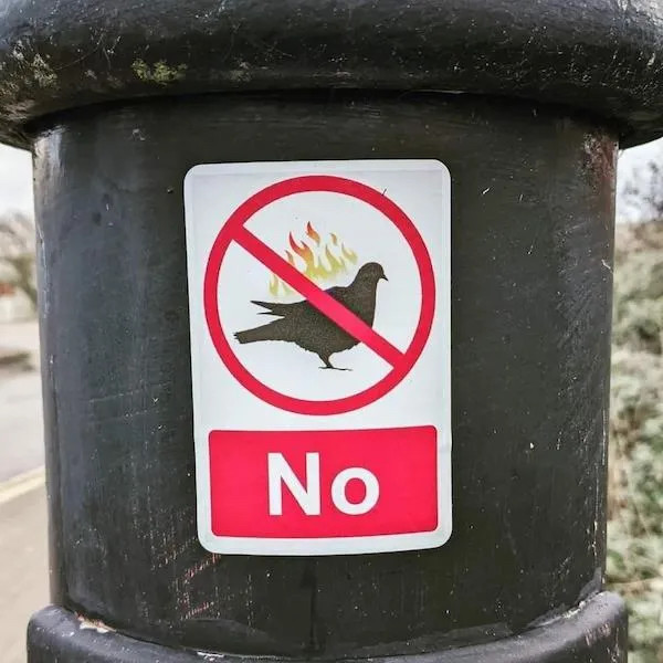 Uma placa de proibição aplicada sobre a silhueta de um pombo em chamas. Abaixo, em letras brancas num campo vermelho, a palavra “No”