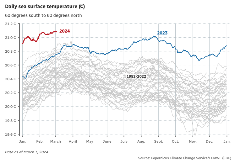 Gráfico mostrando as temperaturas médias dos oceanos nos últimos 40 anos, com destaque em cor diferenciada para as linhas de 2023 e de 2024, acima de todas as anteriores.