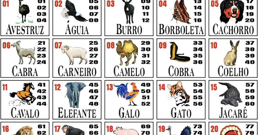 Tabela parcial com grupos e dezenas do jogo do bicho.