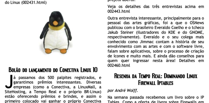 Captura de fragmento da newsletter, incluindo imagem de um pinguim de pelúcia